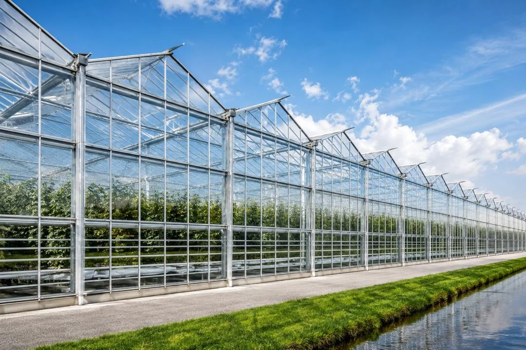 Commercial Greenhouse with Transparent Roof and Wall Panels